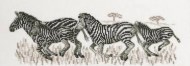 Zebras 12-83257